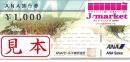 ANA(全日空)旅行券　1000円