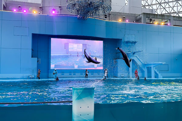 八景島シーパラダイスのチケットの買い方とは？お得に購入する方法を解説！