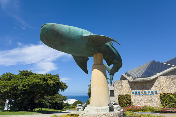 美ら海水族館のチケットの割引情報を徹底解説！館内の見どころも紹介
