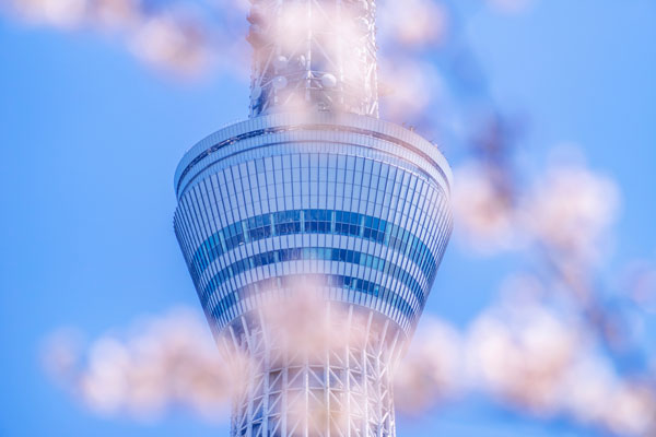 割引以外の方法で実質的にお得になる方法