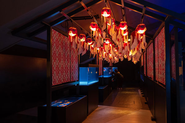 「和」をひょうげんした「江戸リウム」