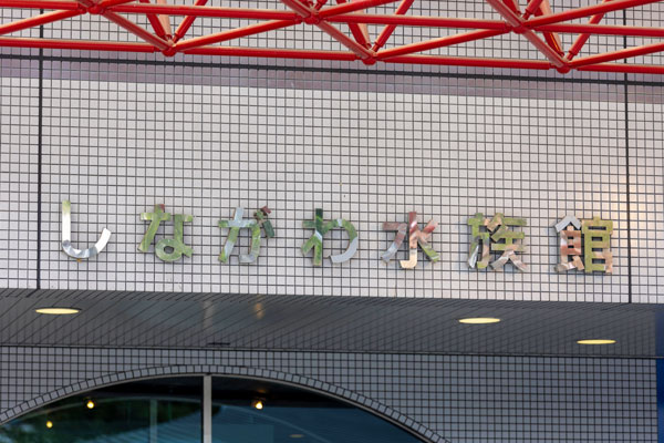 しながわ水族館の入館チケットを割引で入手する方法とは？”しなすい”の魅力についても解説