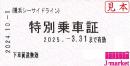 横浜シーサイドライン株主優待券　特別乗車証　有効期限:2025年3月31日