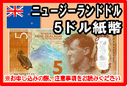 ニュージーランドドル(NZD)　5ドル紙幣