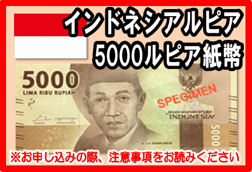 最新紙幣　インドネシアルピア　10万ルピア紙幣5枚