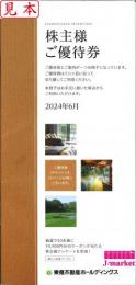 東急不動産株主優待券 33枚セット　有効期限:2025年1月31日