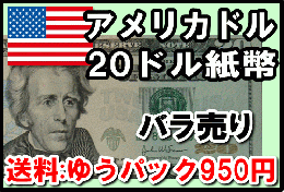 アメリカドル(USD)20ドル紙幣 (バラ売り:1～50枚まで) 【※送料:ゆうパック950円】