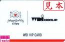 WDI VIP CARD 株主優待 20% 割引カード　期限2024年6月30日　※無記名です。