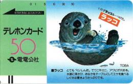 【電電公社　鳥羽水族館　ラッコ】テレカ/テレホンカード50度　