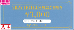 ヒューリック株主優待券　VIEW HOTELS施設ご利用券 3,000円