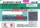 ANA(全日空)株主優待券11月発行(有効期限:2024/12/1～2025/11/30) 20枚