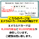 銀座ワシントン靴店御靴引換証エメラルドカード　8,000円相当