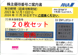 ANA(全日空)株主優待券11月発行(有効期限:2023/12/1～2024/11/30) 20枚